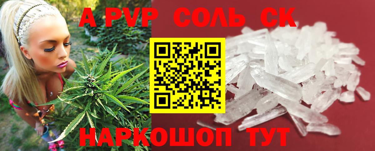 Alfa_PVP СК Энгельс