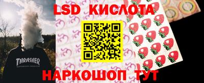 PSILOCYBIN Можга