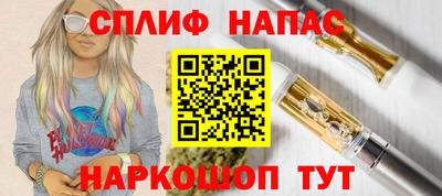 PSILOCYBIN Можга